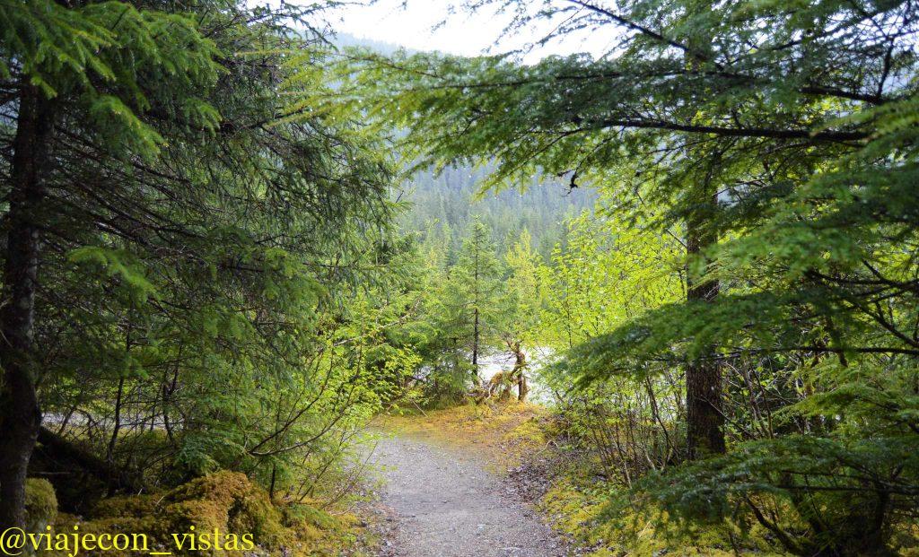 caminando bosque tongass juneau