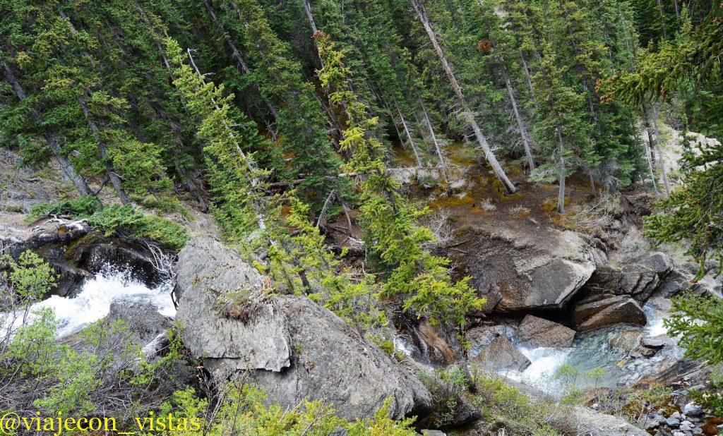 cascada sunwapta
