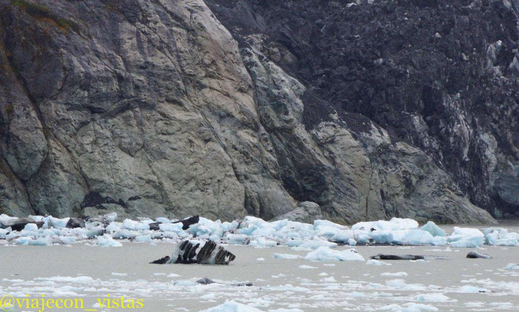pequeños iceberg desprendidos del glaciar