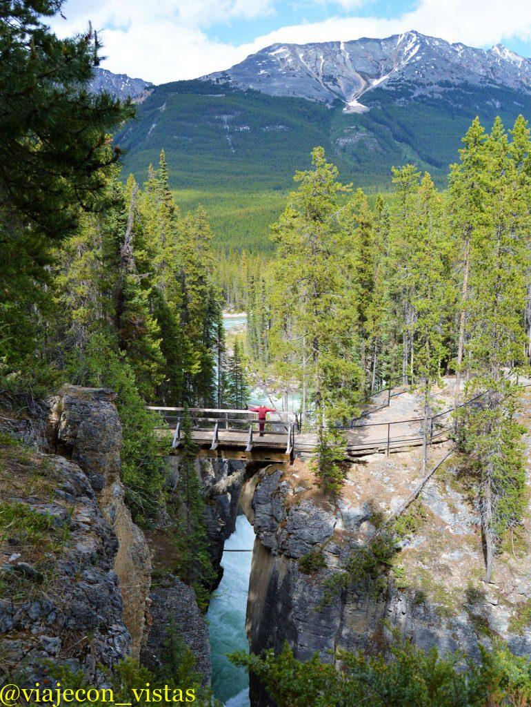sunwapta falls canada