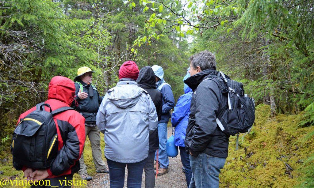 excursion bosque tongass juneau