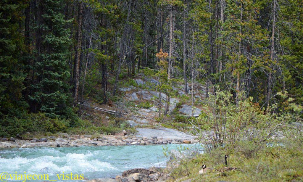 entorno natural canada