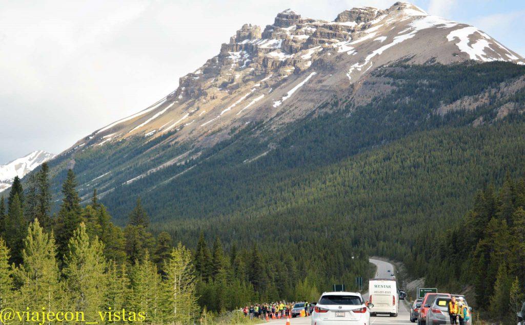 carretera panoramica, icefields parkway canada
