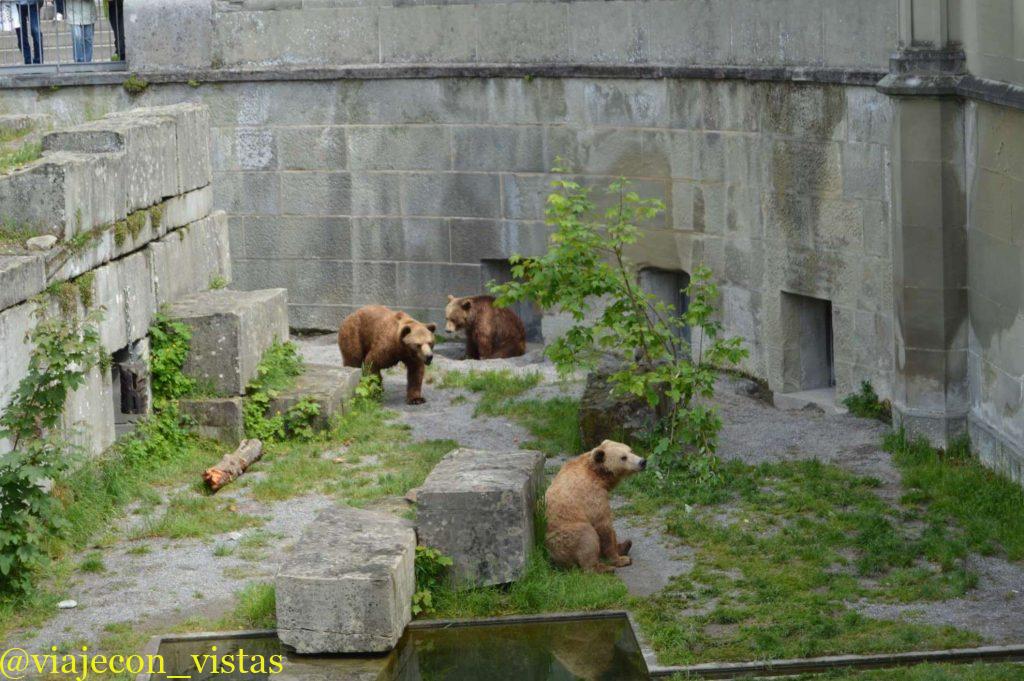 parque de osos berna