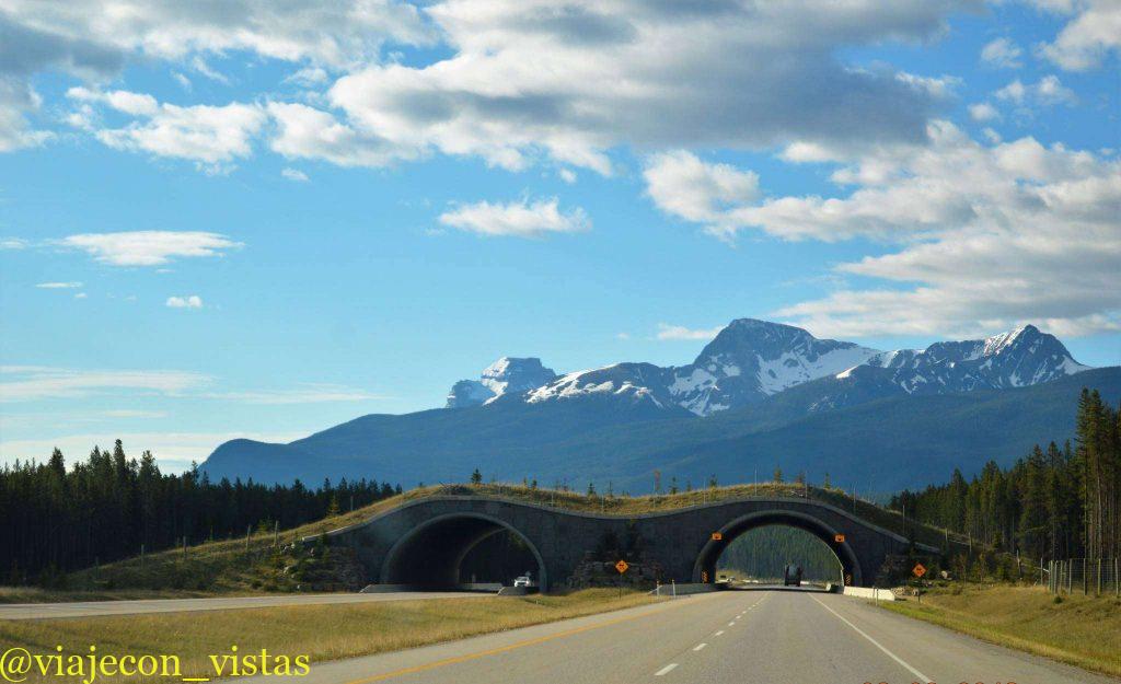  trans canada hwy