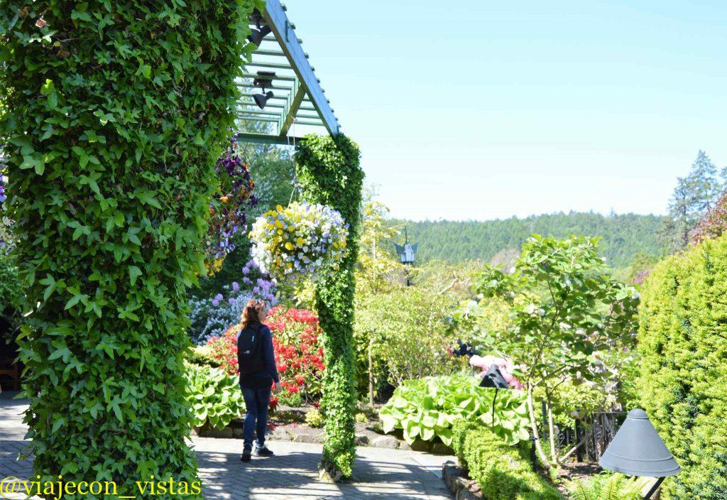 jardines butchart en canada