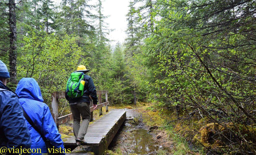 ruta bosque tongass juneau