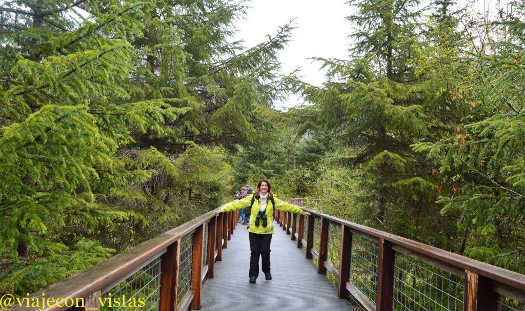 steep creek trail bosque tongass