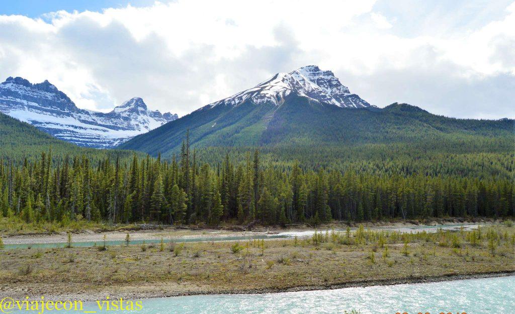 naturaleza canada icefields parkway