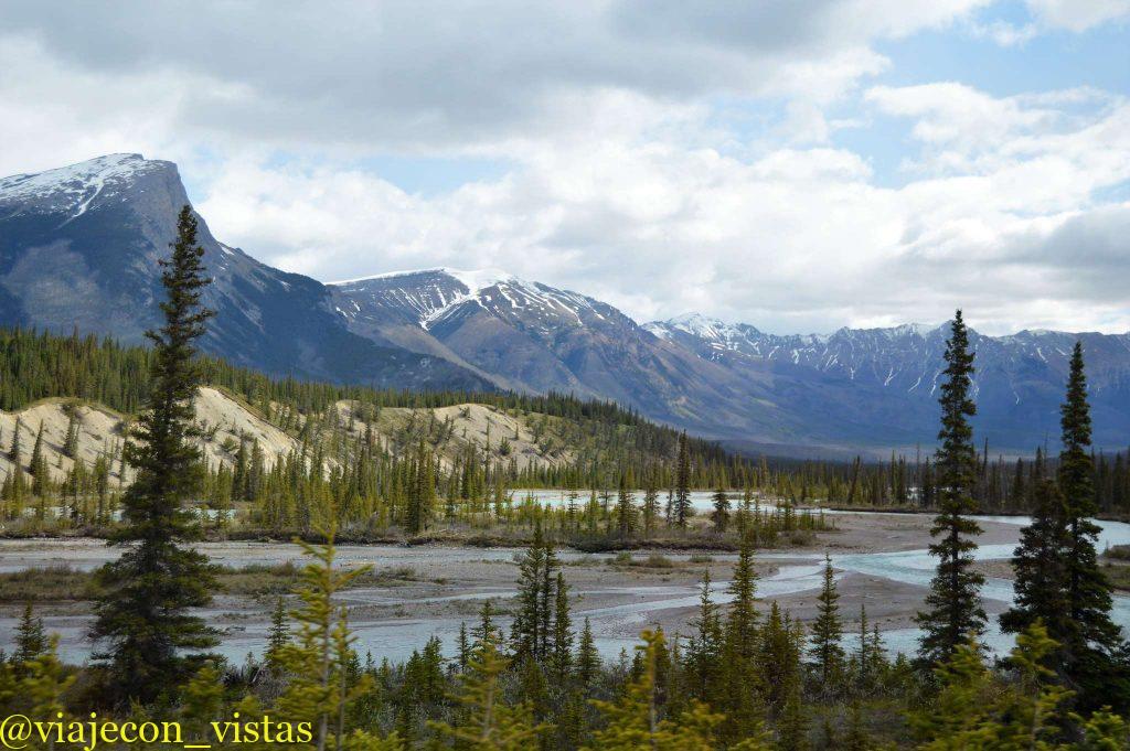 sunwapta valley