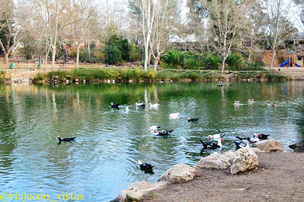laguna de anna