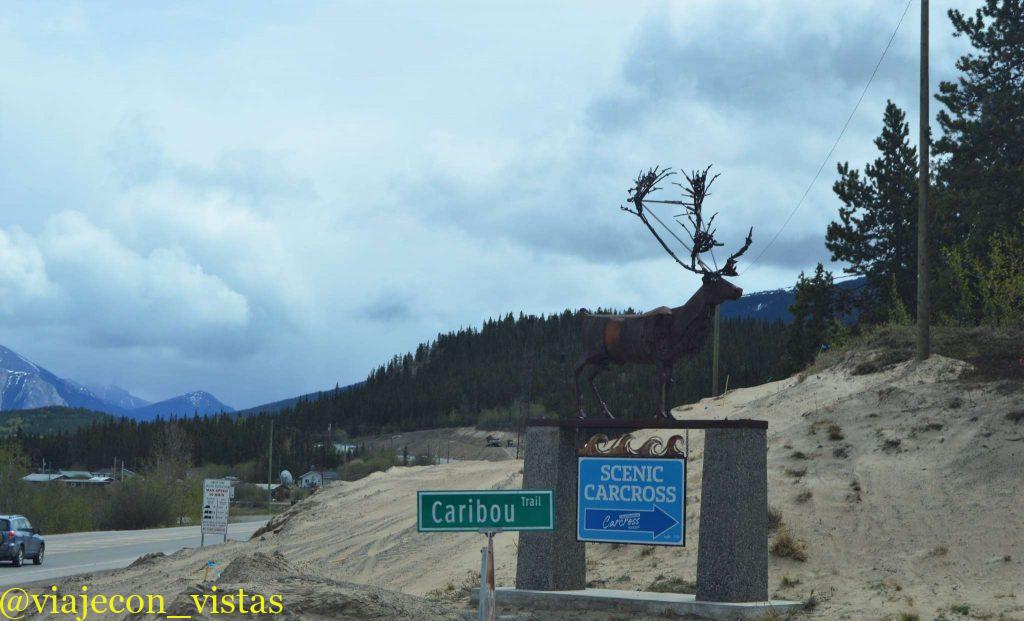 aldea carcross canada