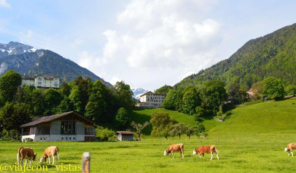 paisajes zona de interlaken