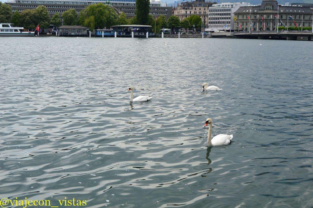 lago lucerna
