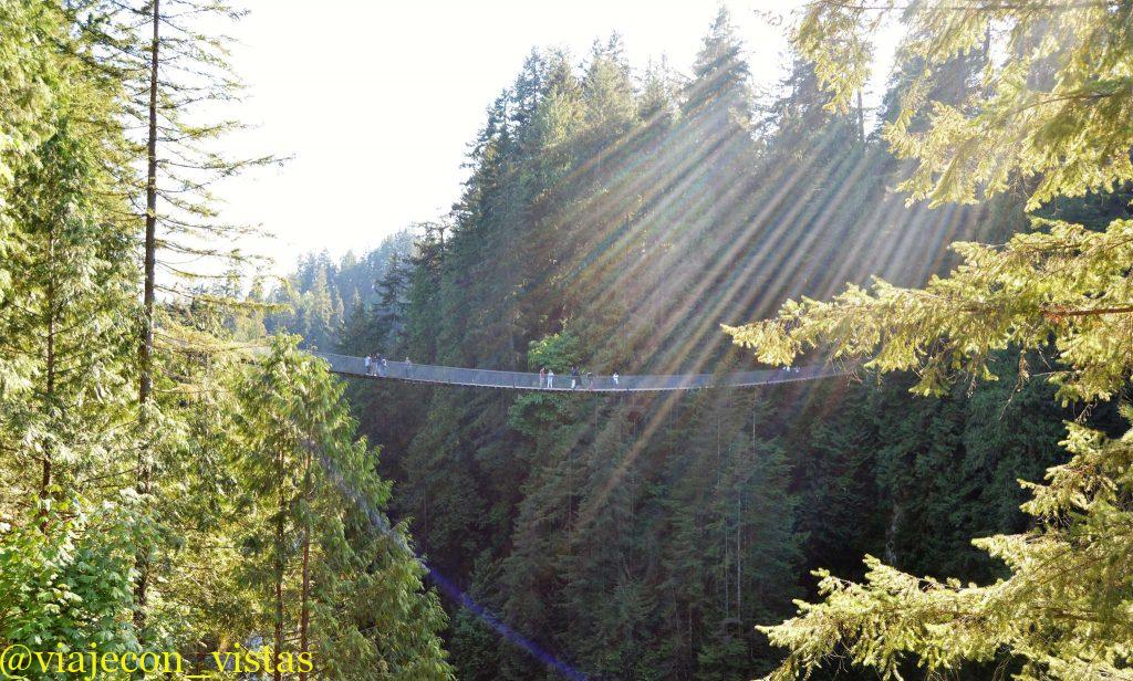 que ver en puente capilano river