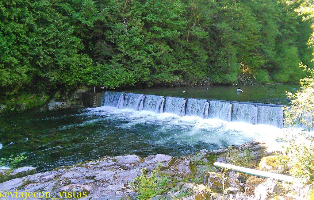 rio salmon canada