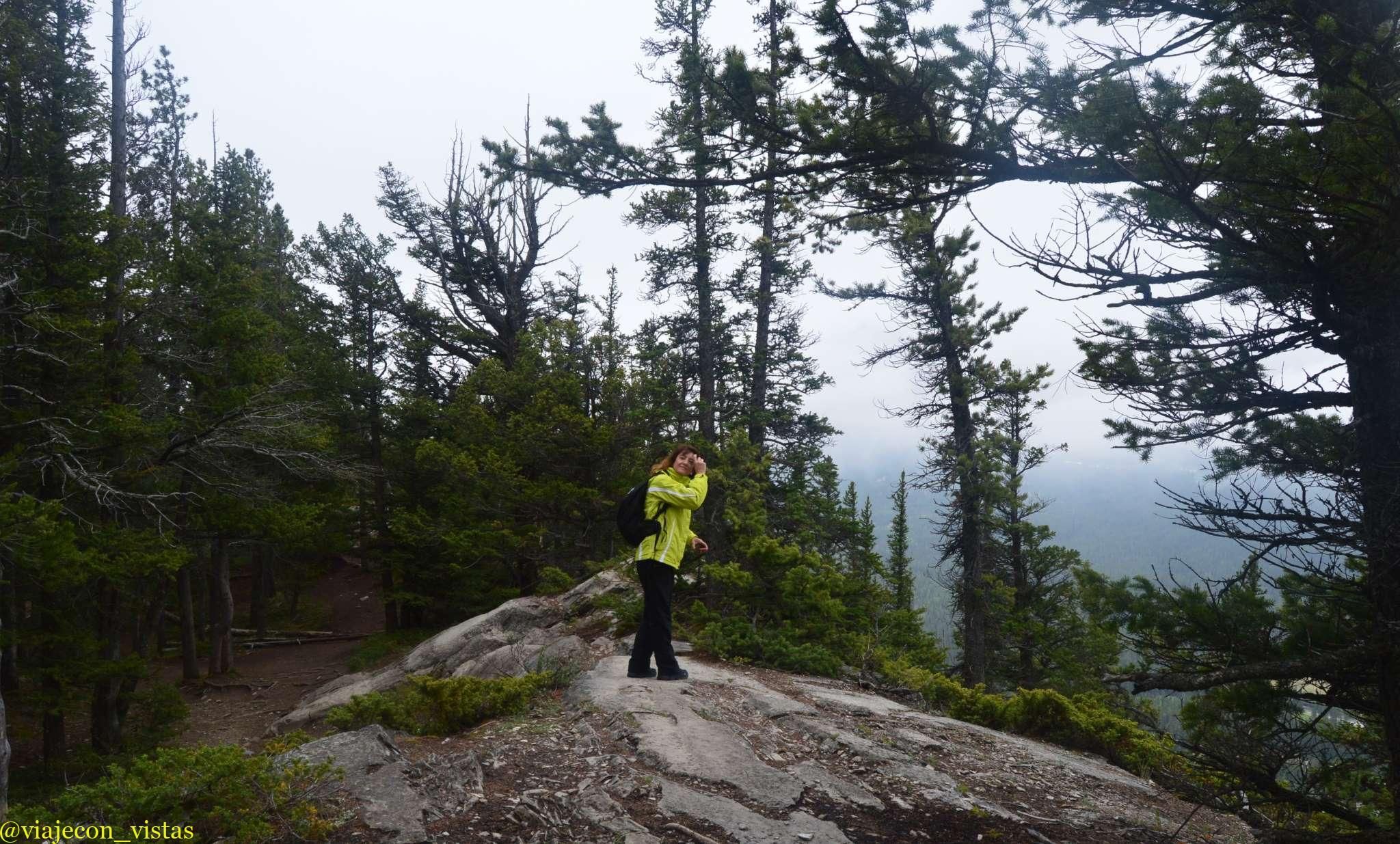 tunnel mountain trail