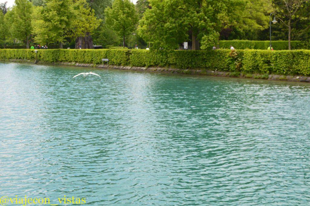 vuelo sobre el lago thun
