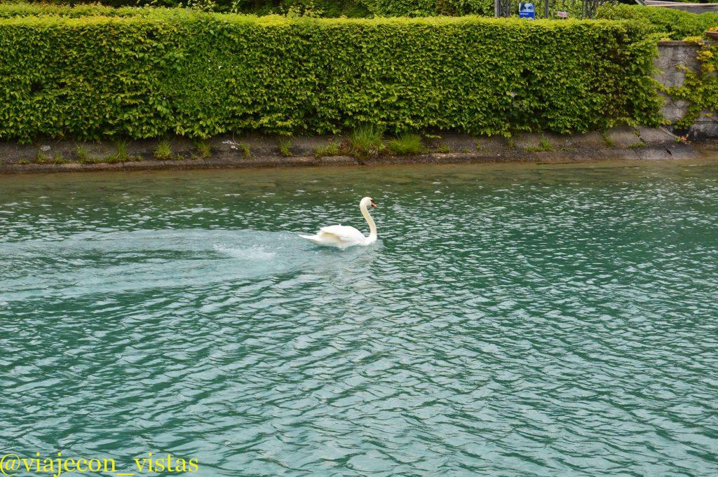 belleza del lago thun