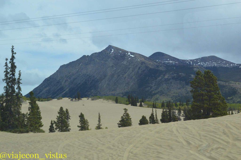 desierto carcross