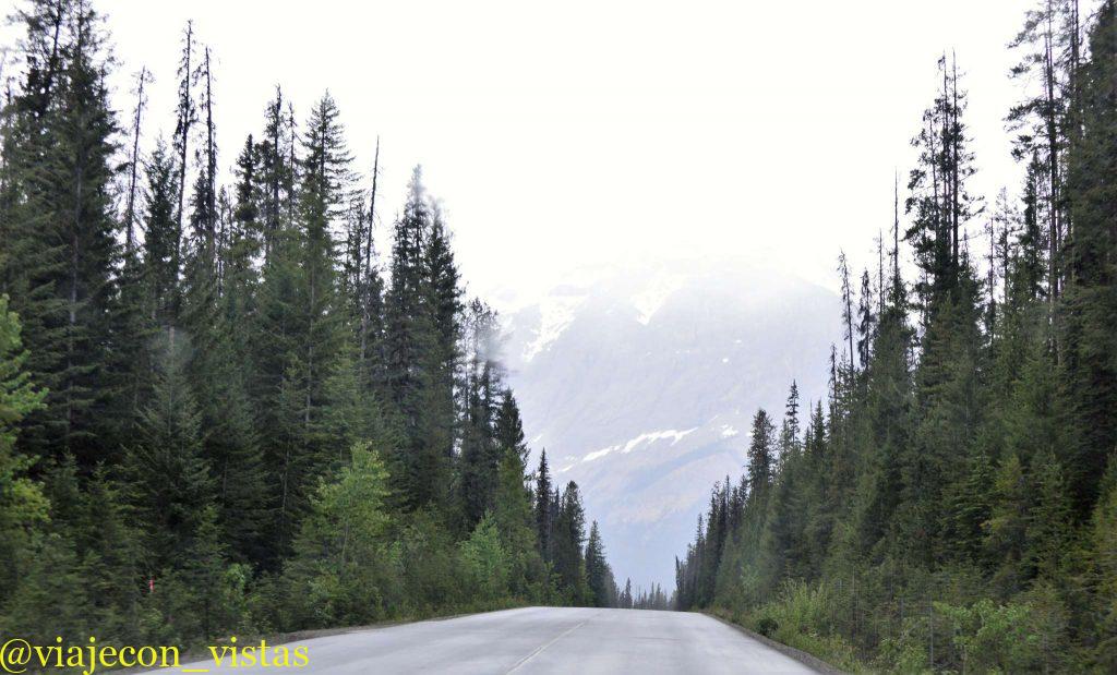 emerald lake road parque nacional yoho
