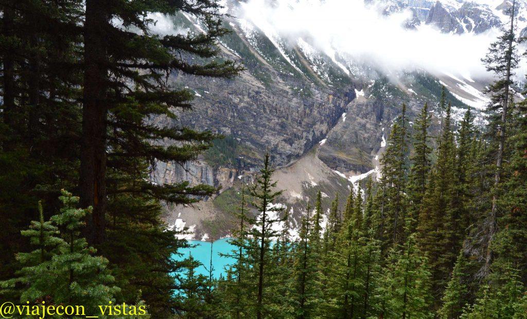 entre coniferas asoma el azul turquesa lake louise