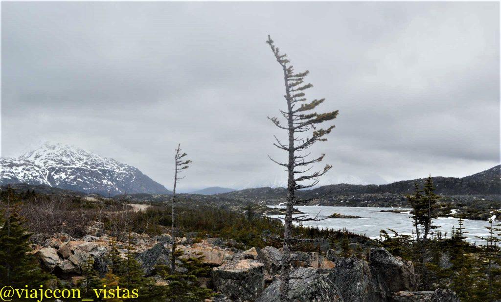 paisajes de skagway mas la ruta del yukon