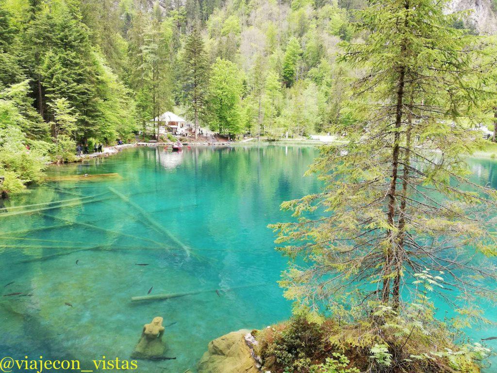 peces lago suizo