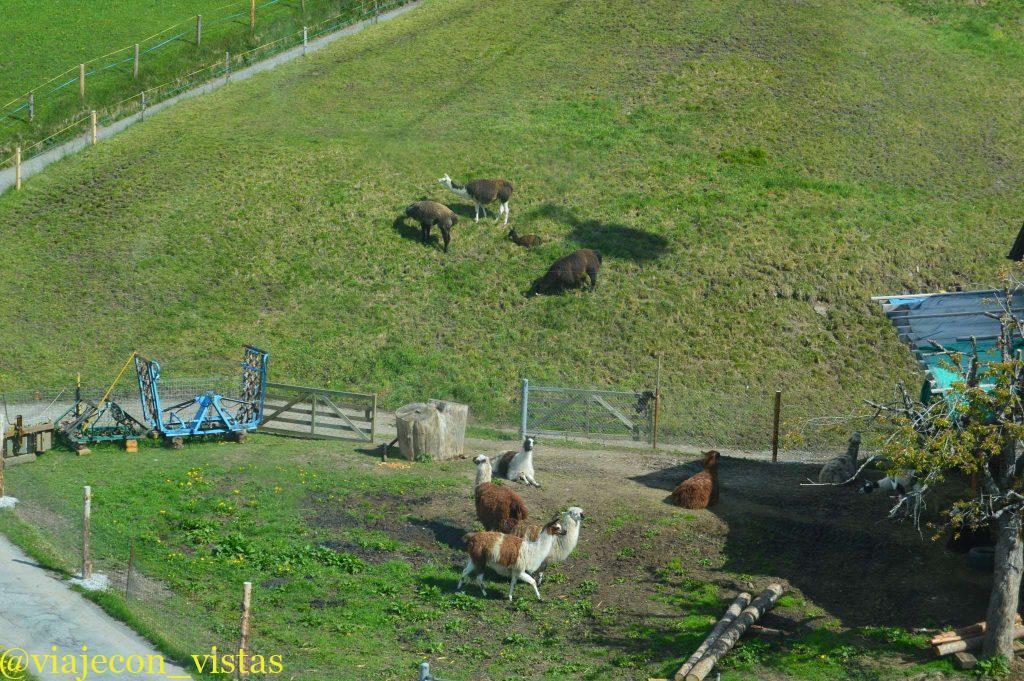 granja ladera del first