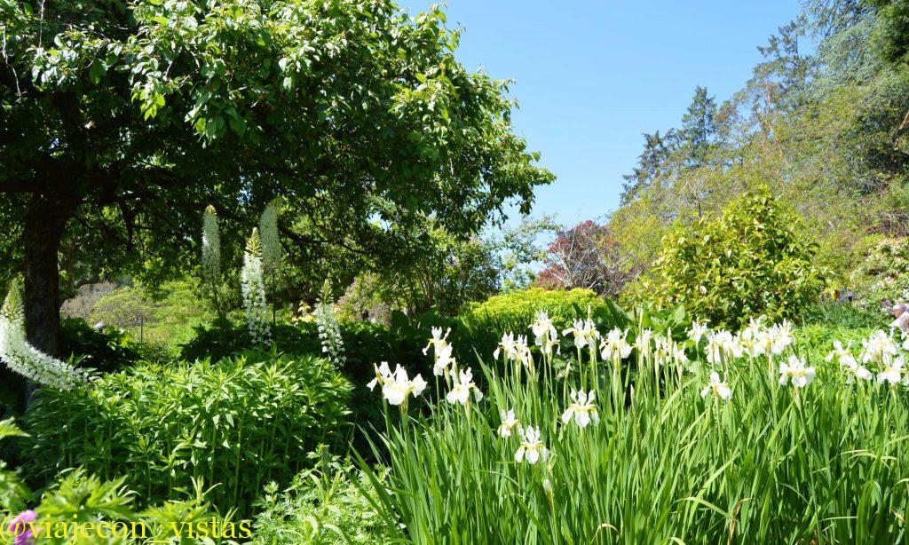 multitud de flores jardin butchart