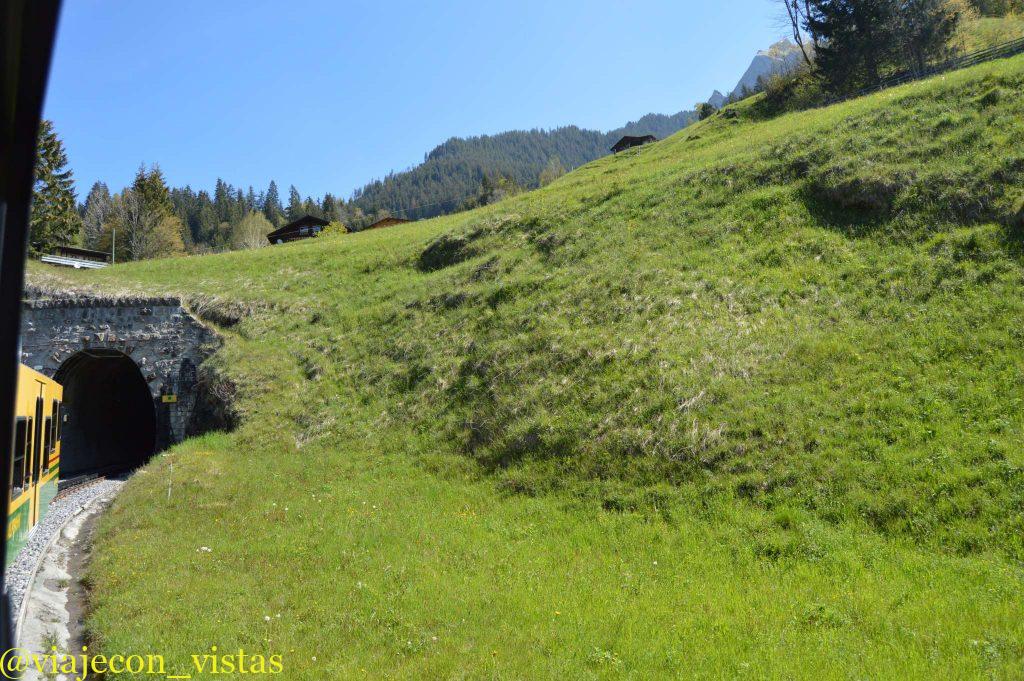 praderas verdes montañas suizas