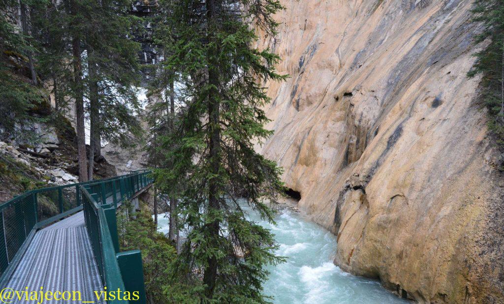 johnston creek canada