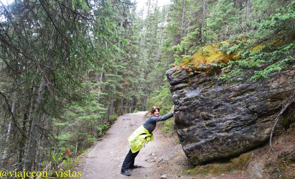 sendero de la casa del te lake louise