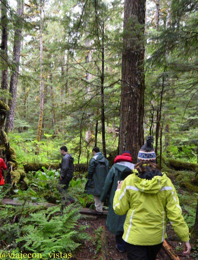 excursion por el bosque ketchikan alaska