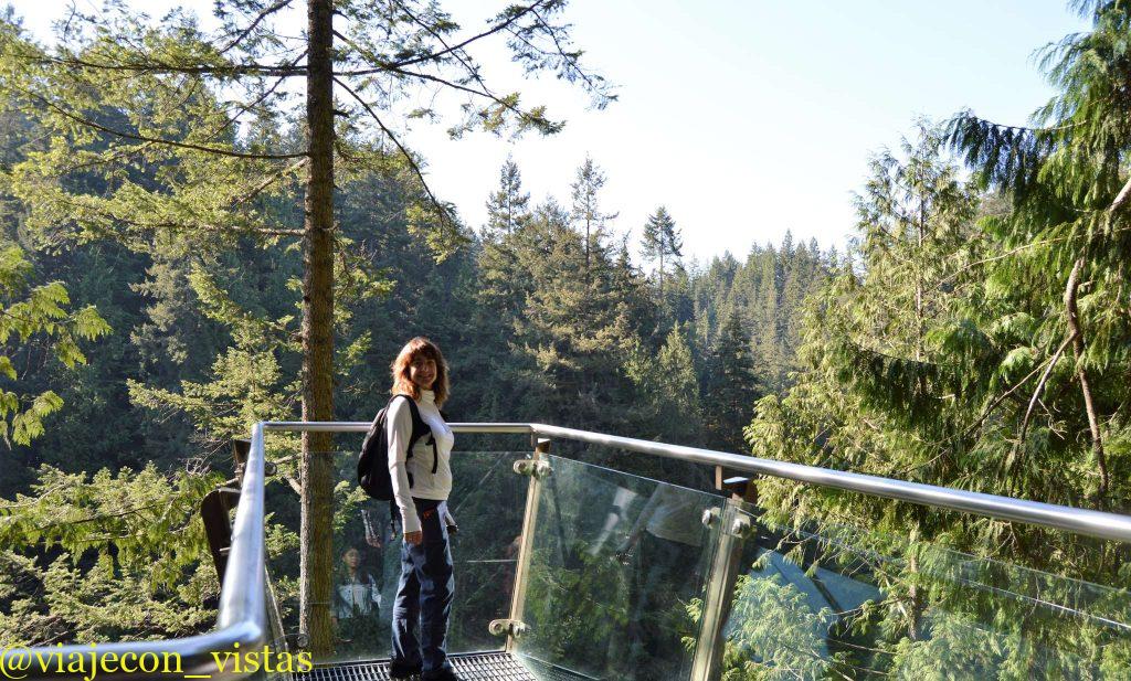 plataforma rio capilano