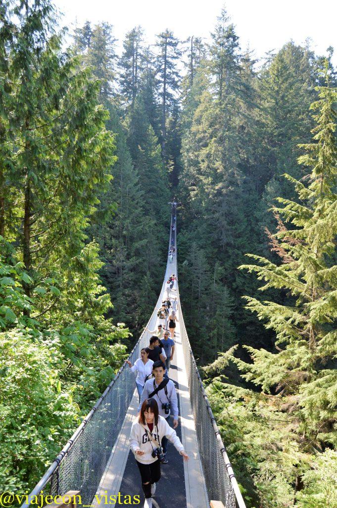 puente sobre el rio capilano