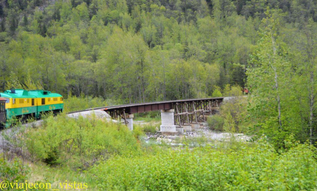 bosque tongass skagway