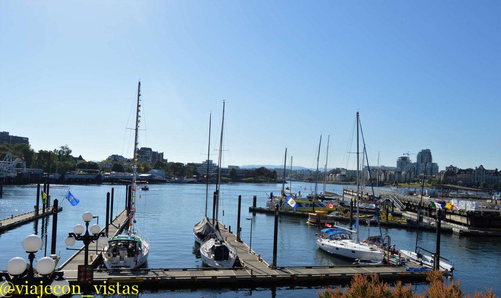 inner harbour