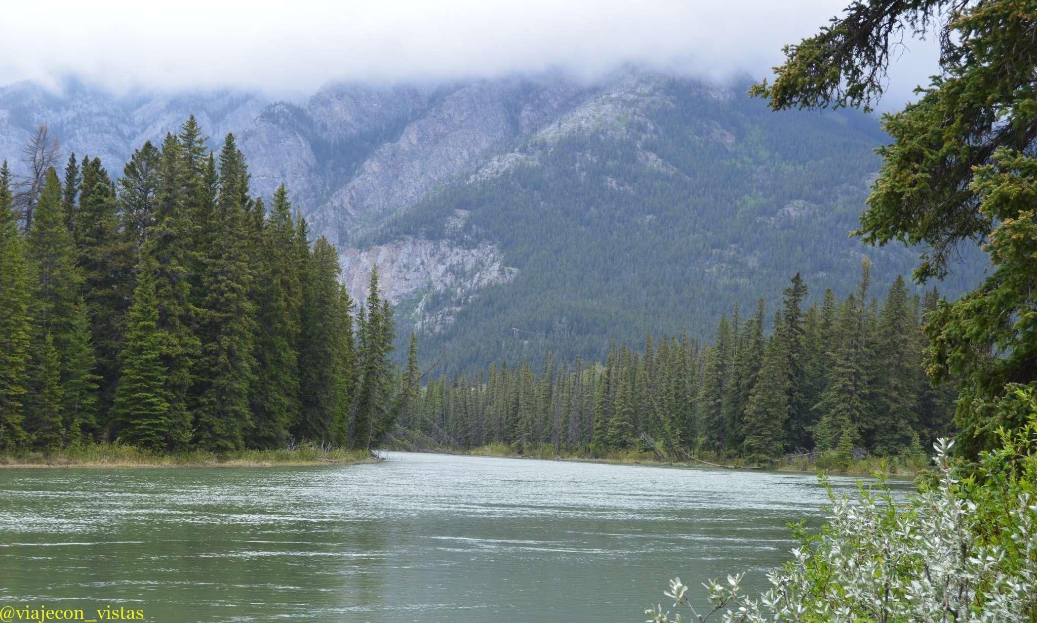 rio bow banff