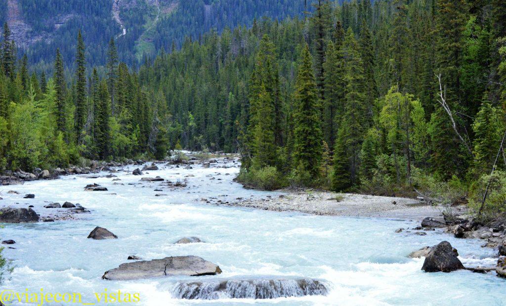 rio takakkawa conoce parque nacional yoho