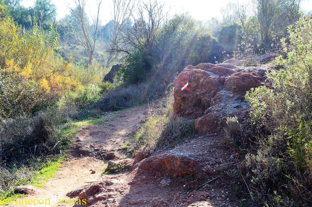 camino al gran salto