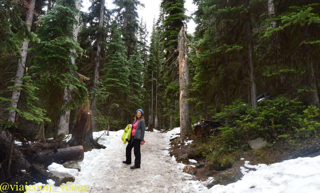 nieve en primavera lago louise