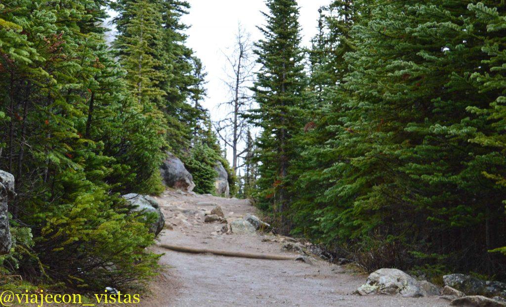 sendero tea house lake louise