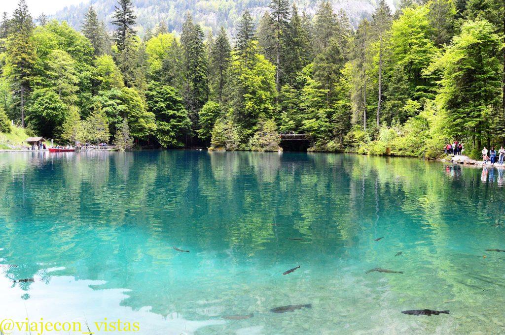 lago de color turquesa blausee