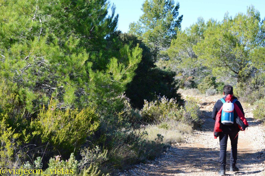 ruta del forat de bernia