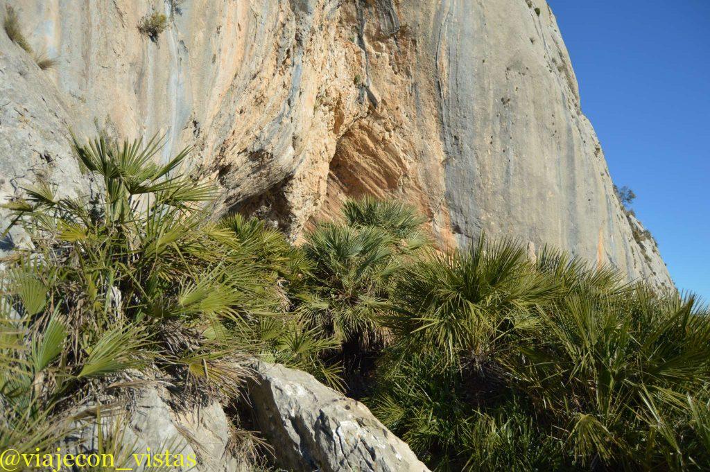 pared del forat de bernia