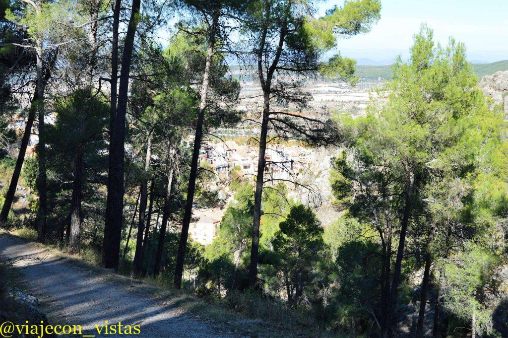 Agres entre la espesura