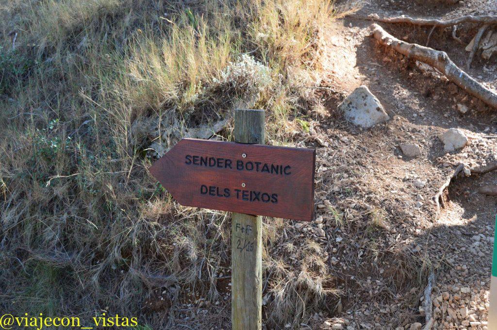 sendero botánico agres una ruta por la sierra de mariola