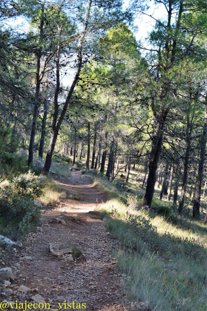 sendero de la ruta por la sierra de mariola