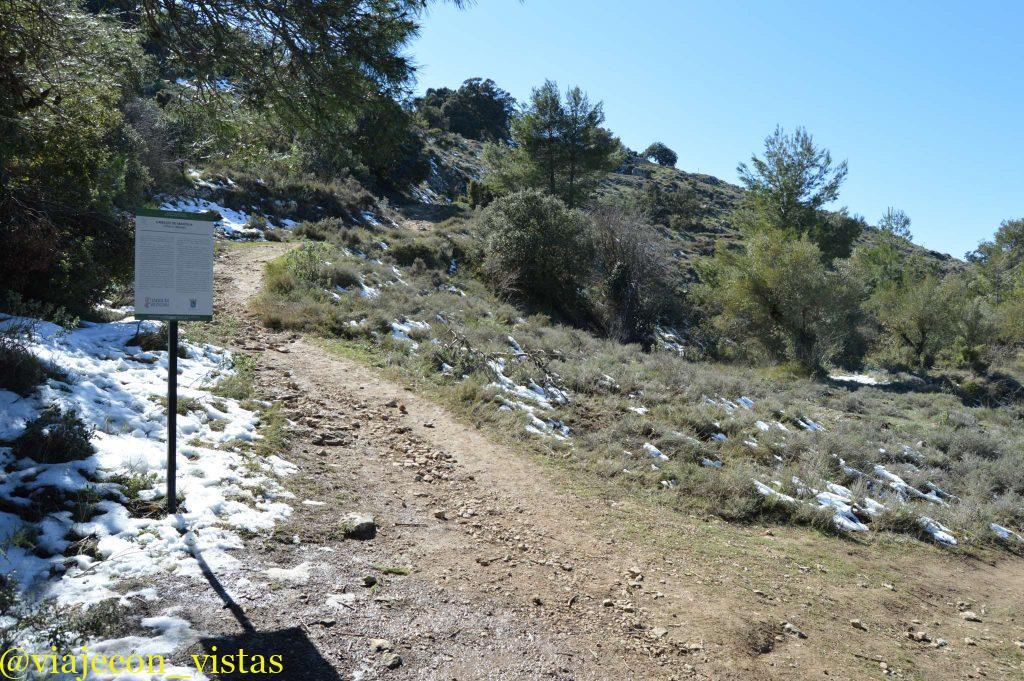 subida a el alt de la cova